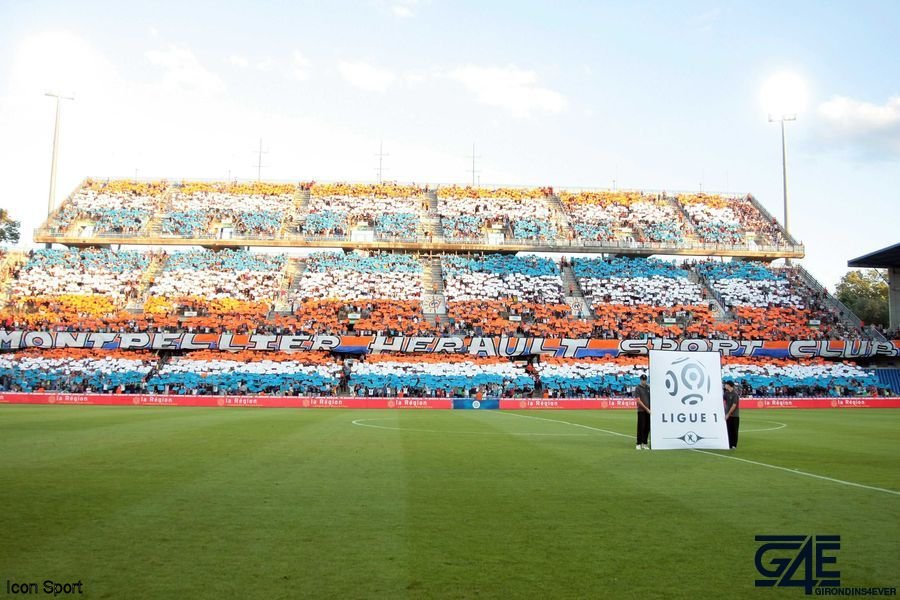 MHSC Montpellier Supporters Icon