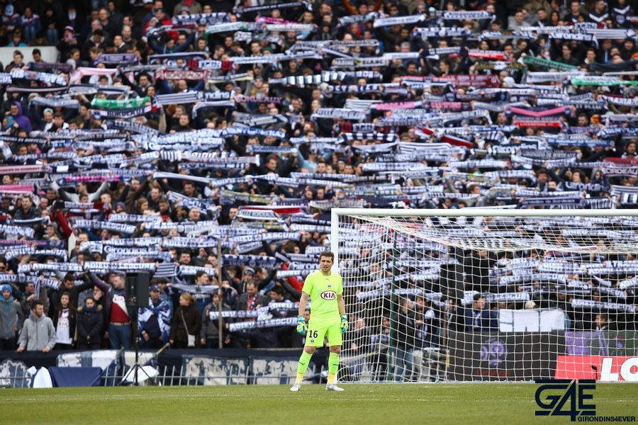 Supporters Bordeaux - Cedric Carasso