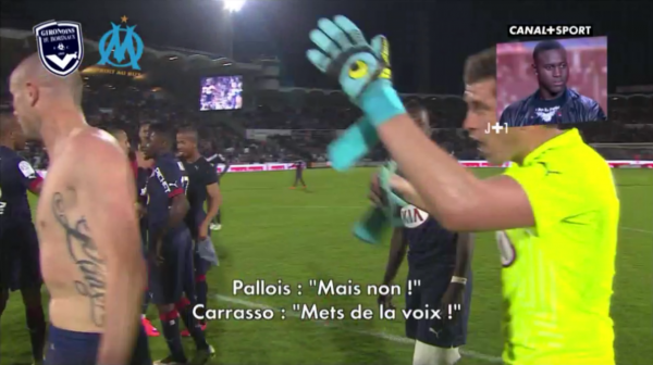 J+1 Carrasso Pallois