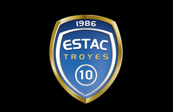 Logo Troyes ESTAC