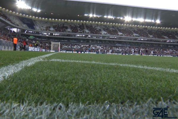 pelouse stade matmut atlantique
