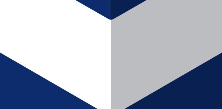Logo Girondins scapulaire